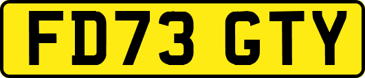 FD73GTY
