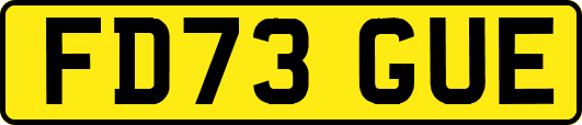 FD73GUE