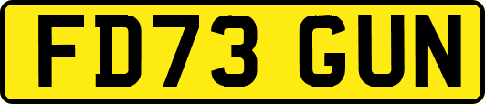 FD73GUN