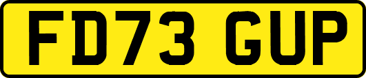 FD73GUP