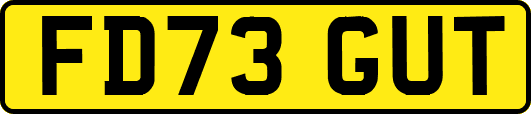 FD73GUT