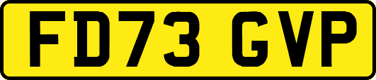 FD73GVP
