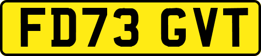FD73GVT
