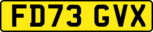 FD73GVX