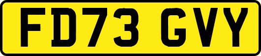 FD73GVY