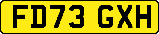 FD73GXH