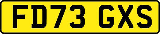 FD73GXS