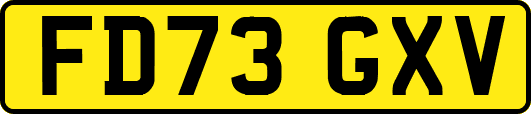 FD73GXV