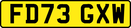 FD73GXW