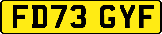 FD73GYF