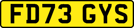 FD73GYS