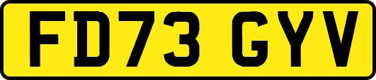 FD73GYV