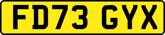 FD73GYX
