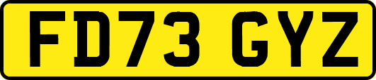 FD73GYZ