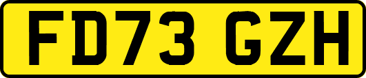 FD73GZH