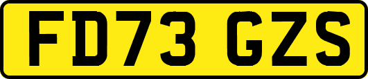 FD73GZS