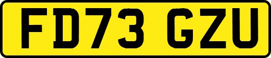 FD73GZU