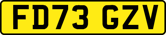 FD73GZV