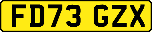 FD73GZX