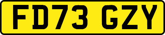 FD73GZY
