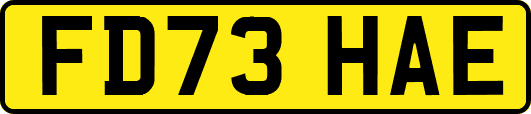 FD73HAE