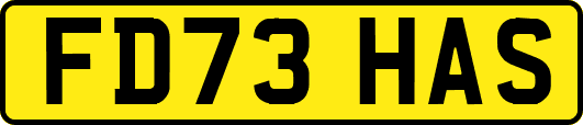 FD73HAS