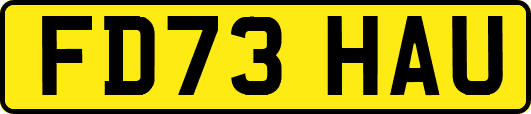 FD73HAU