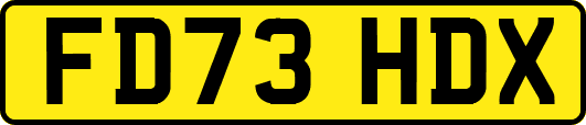 FD73HDX