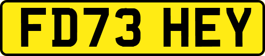 FD73HEY