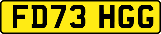 FD73HGG