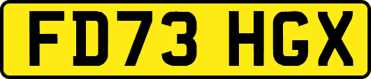 FD73HGX