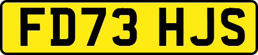 FD73HJS