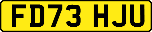 FD73HJU