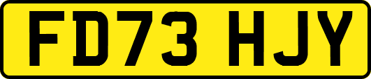 FD73HJY