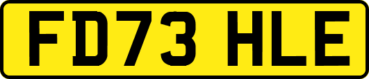 FD73HLE