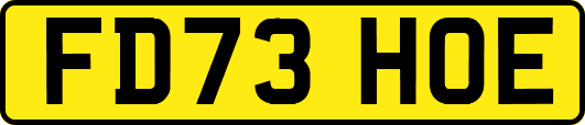 FD73HOE