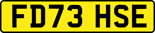 FD73HSE