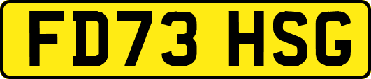 FD73HSG