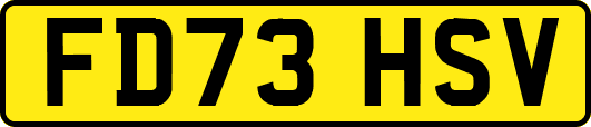 FD73HSV