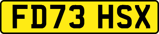 FD73HSX