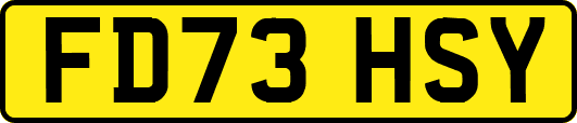 FD73HSY