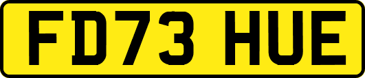 FD73HUE