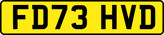 FD73HVD