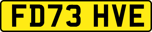 FD73HVE