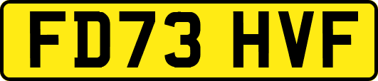 FD73HVF