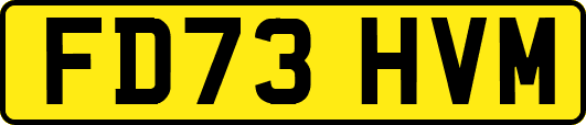 FD73HVM