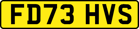 FD73HVS