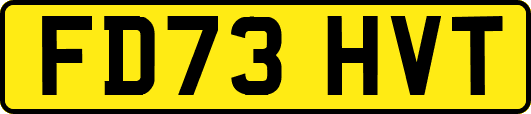 FD73HVT