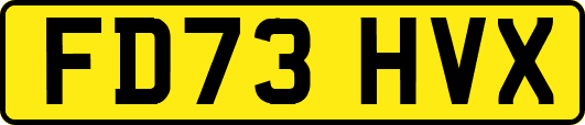 FD73HVX