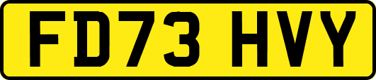FD73HVY